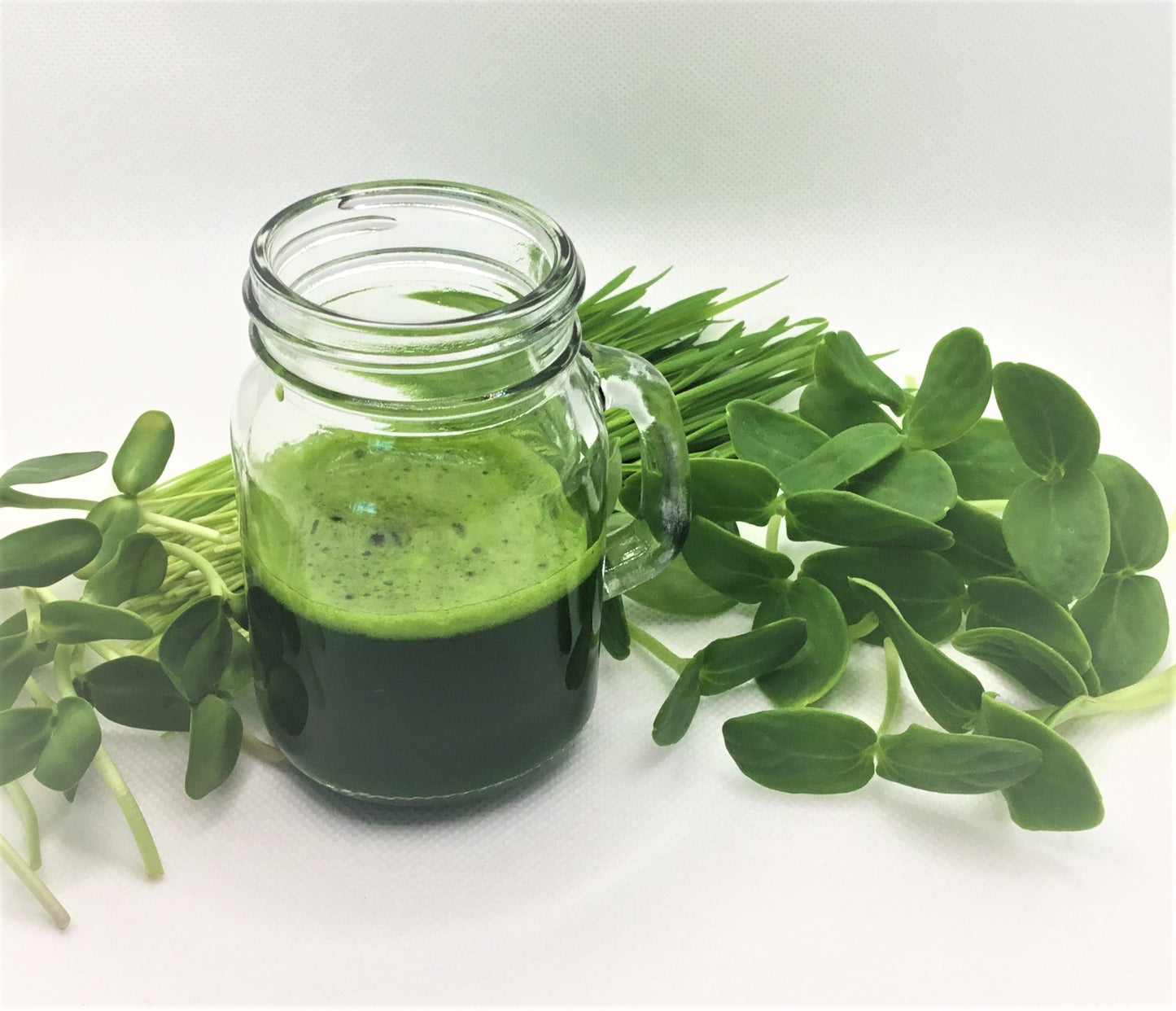 Wheatgrass