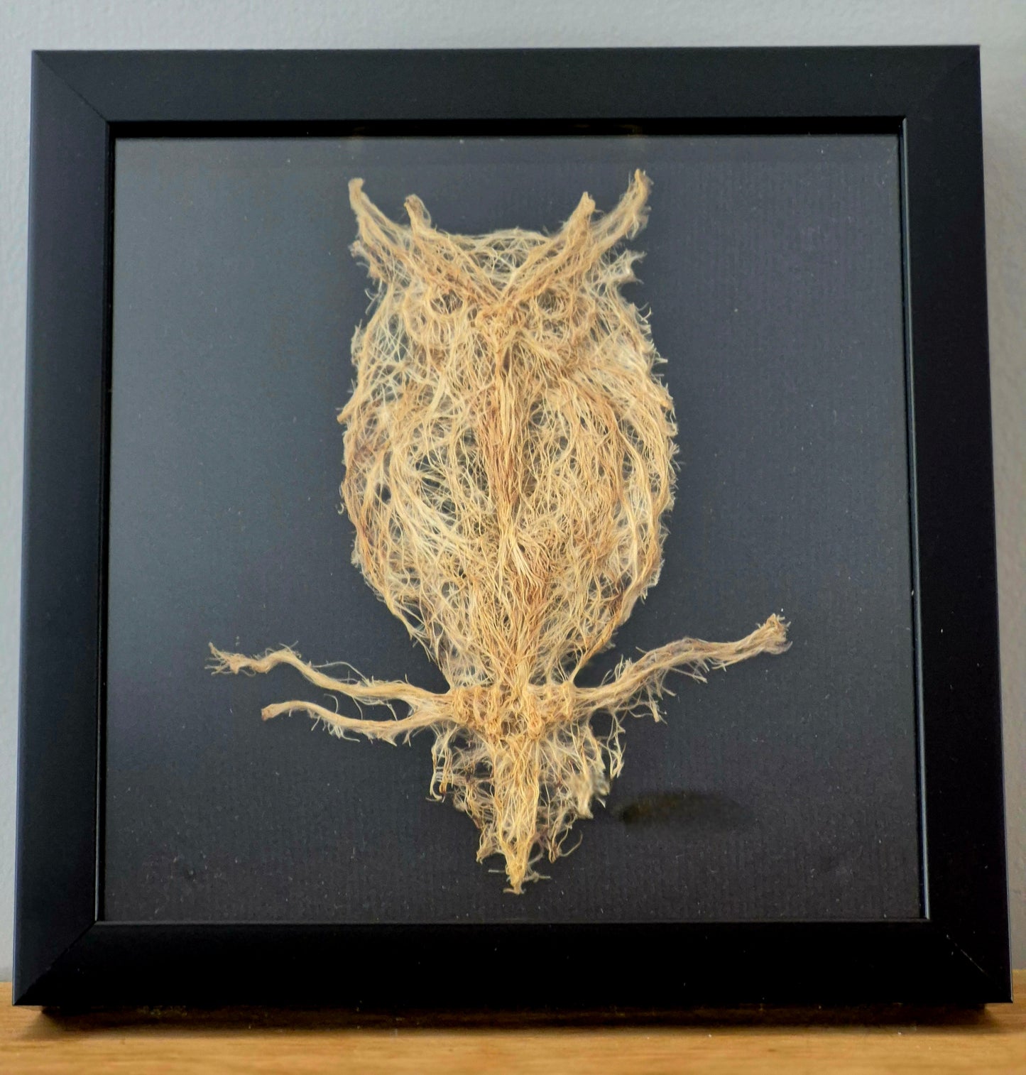 Owl Root Design