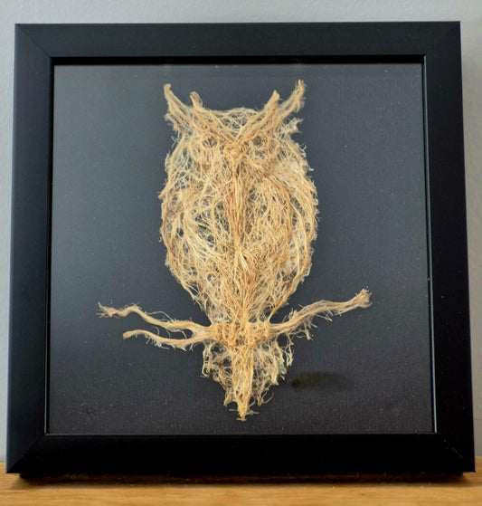Owl Root Design