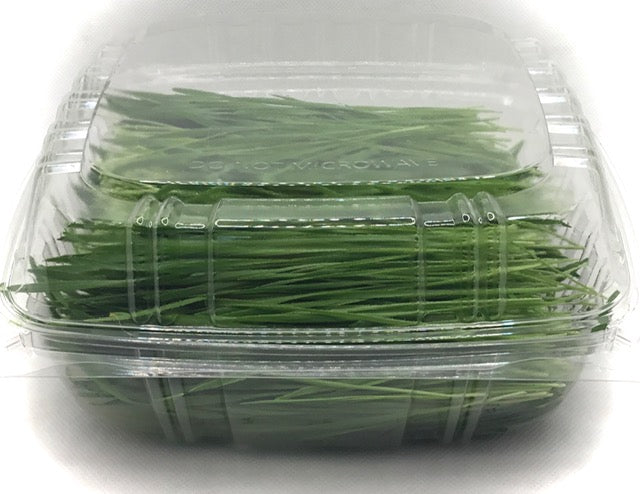 Wheatgrass